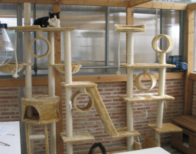 Gatosphera | Hotel para Gatos en Madrid